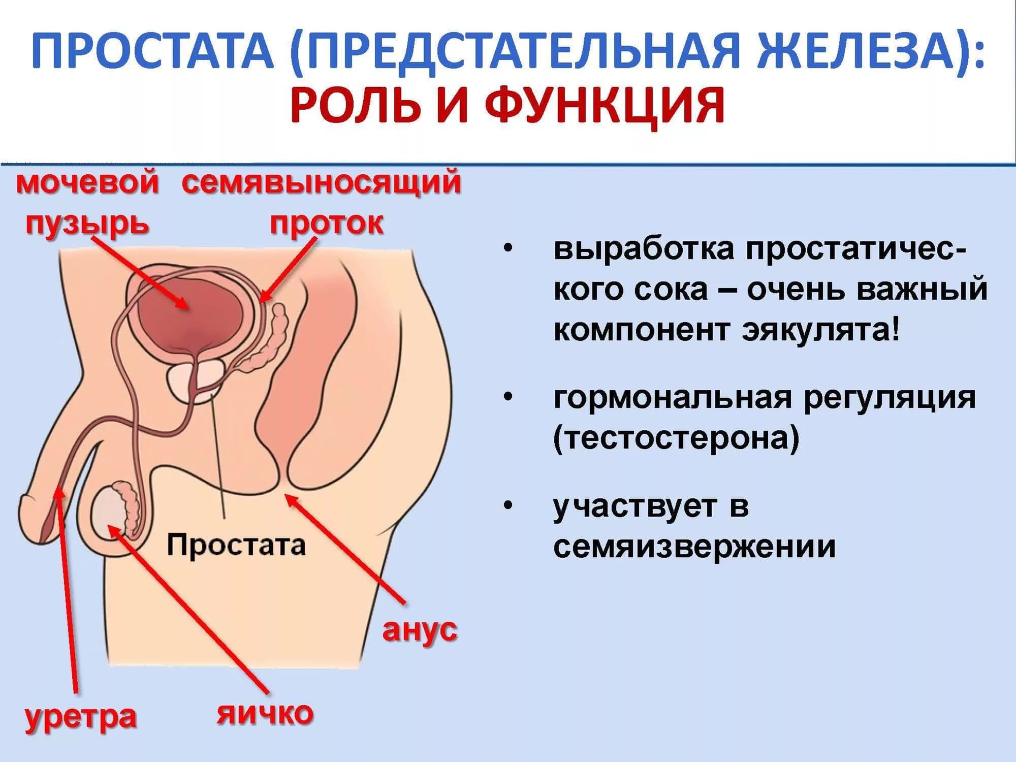 кровь в моче после оргазма фото 107